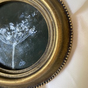 Original Botanical Painting, Round Vintage Frame, Dark Academia Wall Art (4 Inch) image 5