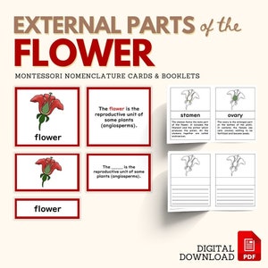 Części jednostki badawczej FLOWER Montessori Botany Unit Study 5-częściowa karta definicji z pustymi materiałami dolna aktywność elementarna PDF do wydrukowania