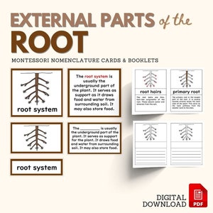 Parties de ROOTS Montessori Botany Tree Root Unit Study 5-Part Card and Booklet Montessori Material Lower Elementary Activity Imprimable