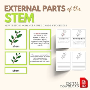 Parti dello studio dell'Unità di Botanica Montessori STEM Libretto di definizione delle carte in 5 parti con materiale vuoto Attività elementare inferiore, PDF stampabile