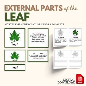Parties du livret de définition de carte en 5 parties de l'étude de l'unité de botanique Montessori LEAF avec matériel vierge Activité élémentaire inférieure, PDF imprimable