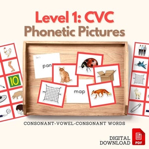 モンテッソーリ言語 CVC 単語音声読み取りレベル 1 RED オブジェクト ボックス書き込み用絵カード 予備フォニックス読み取り PDF 印刷可能