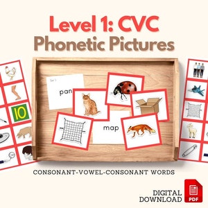 Montessori Language CVC Words Phonetic Reading Level 1 RED Picture Cards for Object Box Writing Preliminary Phonics Reading PDF Printable