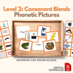 Konsonant Blends Phonetische Lesung Bildkarten für Objekt Box Montessori Sprache Material CCVC Phonetische Schrift Phonic Word, PDF Printable