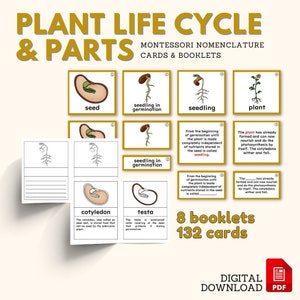 Plant LIFE CYCLE Part of Plant Montessori Botany Unit Study 5-Part Card Definition Booklet Lower Elementary Activity Material, PDF Printable