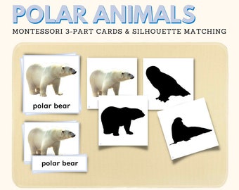 WILD ANIMALS Montessori Nomenclature 3 Part Cards Shadow | Etsy