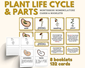 Plant LIFE CYCLE Part of Plant Montessori Botany Unit Study 5-Part Card Definition Booklet Lower Elementary Activity Material, PDF Printable