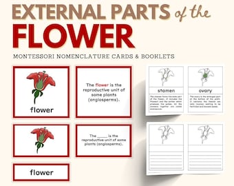 Parts of the FLOWER Montessori Botany Unit Study 5-Part Card Definition Booklet with Blanks Material Lower Elementary Activity PDF Printable