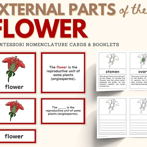 Parts of the FLOWER Montessori Botany Unit Study 5-part Card Definition ...