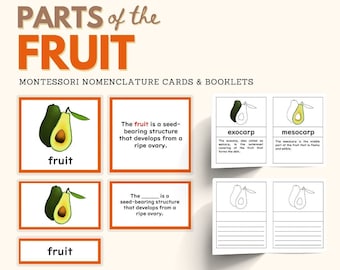 Parts of the FRUIT Montessori Botany Fruits Language Activity Plant Anatomy Unit Study Montessori Homeschool Preschool Cards PDF Printable