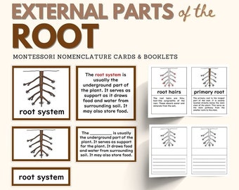 Parts of a Root Nomenclature 3-part Cards & Blackline Master ...