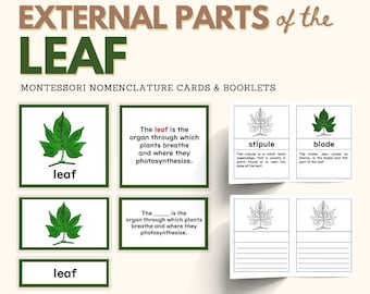 Parts of the LEAF Montessori Botany Unit Study 5-Part Card Definition Booklet with Blanks Material Lower Elementary Activity, PDF Printable