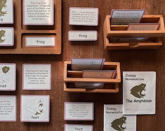 AMPHIBIANS Zoology Unit Study Parts Frog Montessori Nomenclature 5-Part Card Booklet Homeschool Lesson Classroom Material Printable Bundle