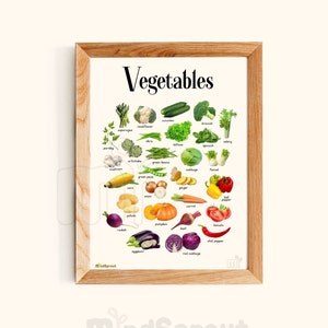 Arte educativo de la pared Montessori Gráfico Verduras Cartel Decoración del hogar para la sala de la guardería Pantalla de la pared Aula Wallart Cartel Imprimible Descargar