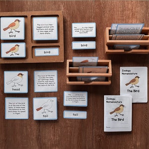 BIRDS Zoology Unit Study Parts of Birds Montessori Nomenclature 5-Part Card Booklet Homeschool Lesson Classroom Material Printable Bundle