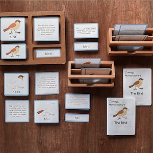 BIRDS Zoology Unit Study Parts of Birds Montessori Nomenclature 5-Part Card Booklet Homeschool Lesson Classroom Material Printable Bundle