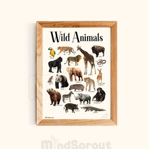Arte de parede educacional Gráfico Montessori Pôster de animais selvagens Decoração de casa para sala de berçário Exibição de parede Pôster de sala de aula para impressão Download de arte