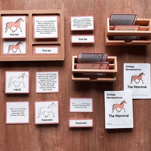 MAMÍFEROS Unidad de Zoología Estudio Partes del Caballo Nomenclatura Montessori Folleto de tarjetas de 5 partes Lección de educación en el hogar Material para el aula Paquete imprimible