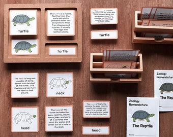 REPTILES Zoology Unit Study Parts Turtle Montessori Nomenclature 5-Part Card Booklet Homeschool Lesson Classroom Material Printable Bundle