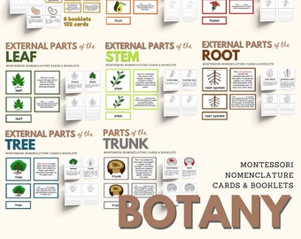 Botany Montessori Nomenclature Cards and Booklet Bundle, Parts of the Plant, Seed, Fruit, Flower, Stem, Root, Tree, Trunk