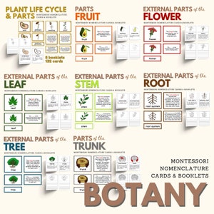 Tarjetas de nomenclatura Montessori de botánica y paquete de folletos, partes de la planta, semilla, fruta, flor, tallo, raíz, árbol, tronco