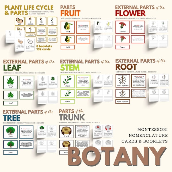Botany Montessori Nomenclature Cards and Booklet Bundle, Parts of the Plant, Seed, Fruit, Flower, Stem, Root, Tree, Trunk