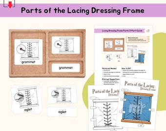 Parts of Lacing Dressing Frame 3-Part Cards Montessori Practical Life Care of Self Montessori Language Lesson Life Skill Activity, PDF