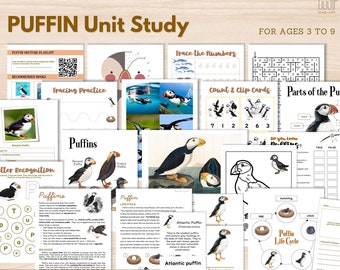 PUFFIN Unit Study (for 3-9) Preschool Activities Animal Fact File Research Elementary Activity Puffin Life Cycle Species Anatomy Printable
