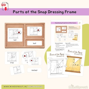 Parts of Snap Dressing Frame 3-Part Cards Montessori Practical Life Care of Self Montessori Language Lesson Life Skill Activity, PDF