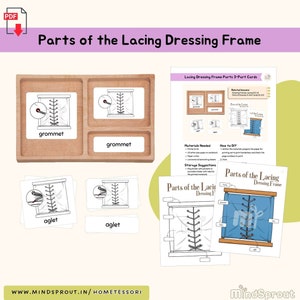 Parts of Lacing Dressing Frame 3-Part Cards Montessori Practical Life Care of Self Montessori Language Lesson Life Skill Activity, PDF