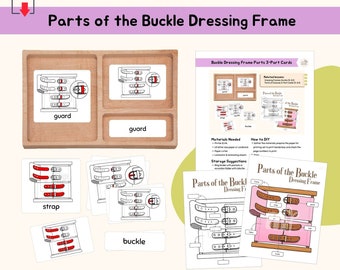 Parts of Buckle Dressing Frame 3-Part Cards Montessori Practical Life Care of Self Montessori Language Lesson Life Skill Activity, PDF