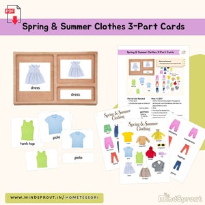 Summer and Spring Clothes 3-Part Cards Montessori Practical Life Activity Montessori Life Skill Language Lesson Montessori Self-Care, PDF
