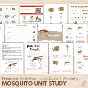 MOSQUITO Unit Study Bundle Preschool Activities Life Cycle of Mosquito Anatomy Montessori Zoology Nomenclature 3 Part Card, PDF Printable