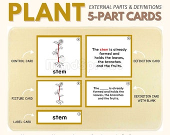 Plant LIFE CYCLE Parts of Seed & Plant Montessori Botany Unit Study 5-Part Card Definition Lower Elementary Activity Material, PDF Printable