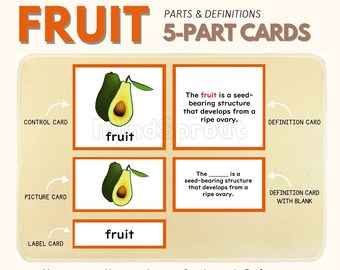 Parts of the FRUIT Montessori Botany Unit Study 5-Part Card Definition Lower Elementary Activity Science Language Material, PDF Printable