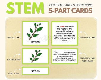 Parts of the STEM Montessori Botany Unit Study 5-Part Card Definition Lower Elementary Activity Science Language Material, PDF Printable