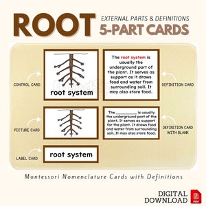 Parts of the ROOT Montessori Botany Unit Study 5-Part Card Definition Lower Elementary Activity Science Language Material, PDF Printable