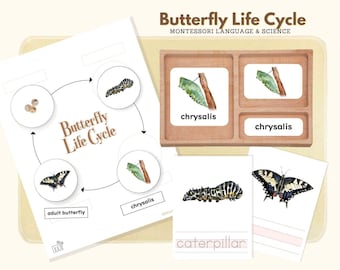 Life Cycle of Butterfly, Montessori Language Butterfly Life Cycle Material, Life Science Preschool Activity Montessori 3-Part Cards, Writing