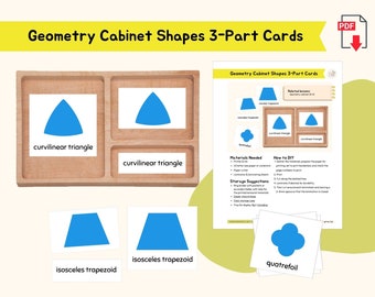 Geometry Cabinet Shapes 3-Part Cards Montessori Sensorial Language Activity Preschool Material Plane Shapes Cards Montessori Homeschool PDF