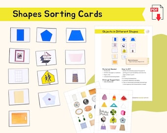 Shapes Sorting Activity for Toddler Montessori Sensorial Preschool Activity Color Kindergarten Homeschool Material Montessori Primary PDF
