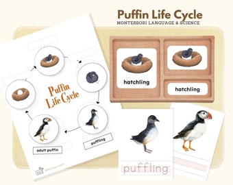 Life Cycle of Puffin, Montessori Language Puffin Life Cycle Material Life Science Preschool Activity Montessori 3-Part Cards & Writing Sheet