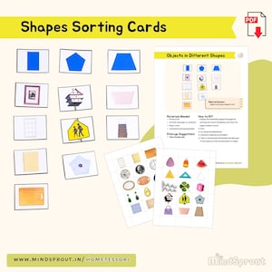 Shapes Sorting Activity for Toddler Montessori Sensorial Preschool Activity Color Kindergarten Homeschool Material Montessori Primary PDF