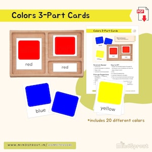 Colors Montessori 3-Part Cards Vocabulary Building Activity for Toddler Montessori Sensorial Preschool Activity Color Matching Homeschool