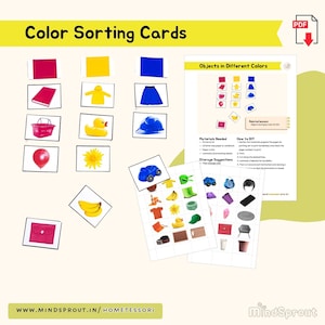 Activité de tri des couleurs pour les tout-petits Montessori Activité préscolaire sensorielle Couleur Maternelle Matériel d’école à la maison Montessori Primaire PDF