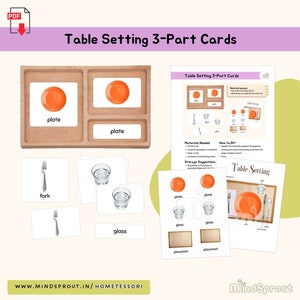 Configuración de la mesa Tarjetas de 3 partes Actividad de extensión de habilidades prácticas para la vida Montessori Lección de idioma Montessori Material sobre el cuidado del medio ambiente, PDF