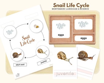 Life Cycle of Snail, Montessori Language Snail Life Cycle Material, Life Science Preschool Activity Montessori 3-Part Cards & Writing Sheets