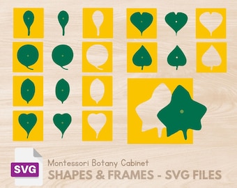 SVG Botany Cabinet Shapes Montessori Botany Puzzle Montessori Leaf Cabinet DIY Material Svg for Cricut or Cnc Wood Cut Machine SVG files