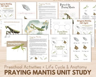 PRAYING MANTIS Unit Study Preschool Activity Life Cycle of Praying Mantis Anatomy Printable Montessori Zoology Nomenclature 3 Part Card