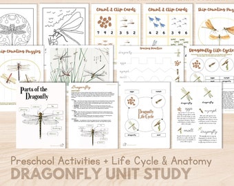 DRAGONFLY Unit Study Bundle Preschool Activities Life Cycle of Dragonfly Anatomy Montessori Zoology Nomenclature 3 Part Card, Printable