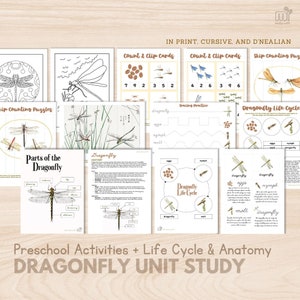 DRAGONFLY Unit Study Bundle Preschool Activities Life Cycle of Dragonfly Anatomy Montessori Zoology Nomenclature 3 Part Card, Printable